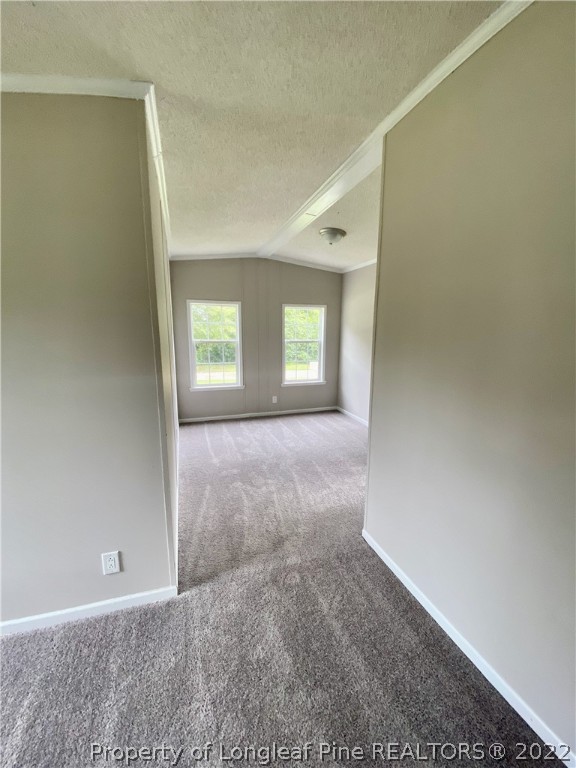 573 Blind Bridge Road Magnolia, NC 28453 - Photo 12 of 21 Gallery Image 12