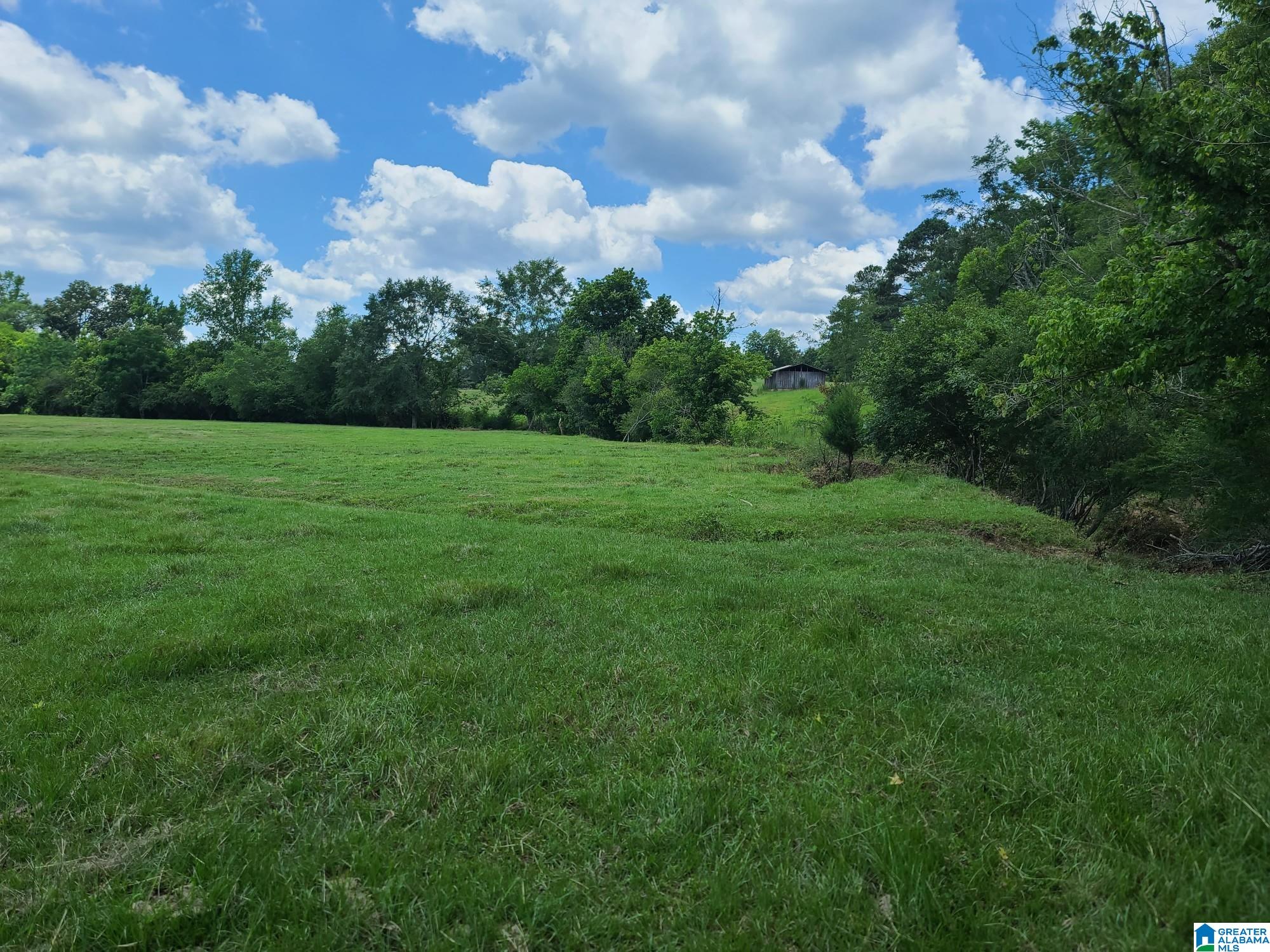435 Lee Cutoff Road Pell City, AL 35125 - Photo 70 of 83