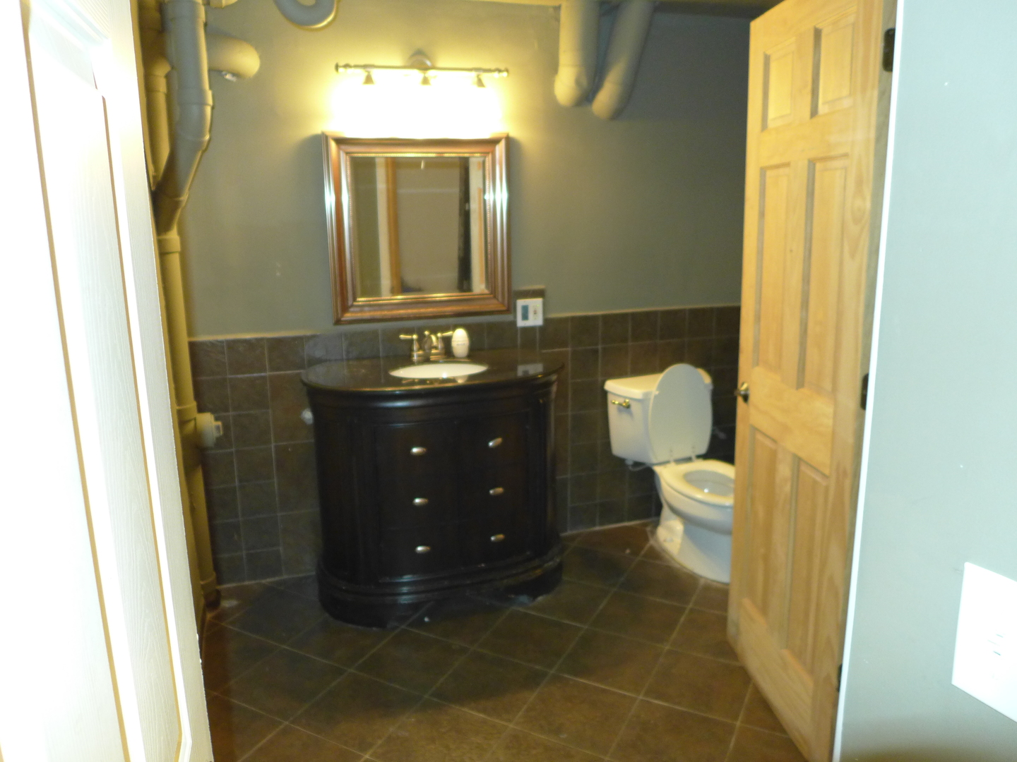 6316 Johnsburg Road Spring Grove, IL 60081 - Photo 28 of 29 a bathroom with a sink and a mirror