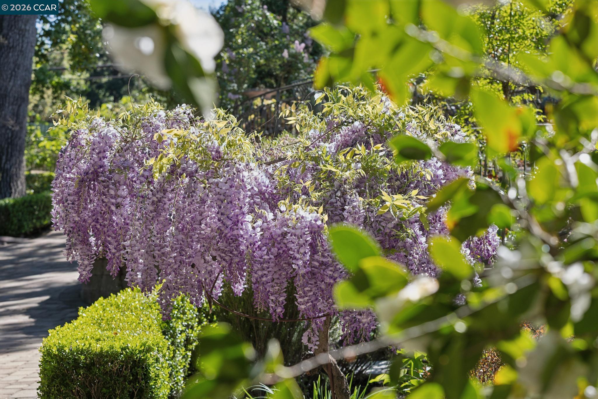 2358 Stone Valley Road Alamo, CA 94507 - Photo 53 of 60