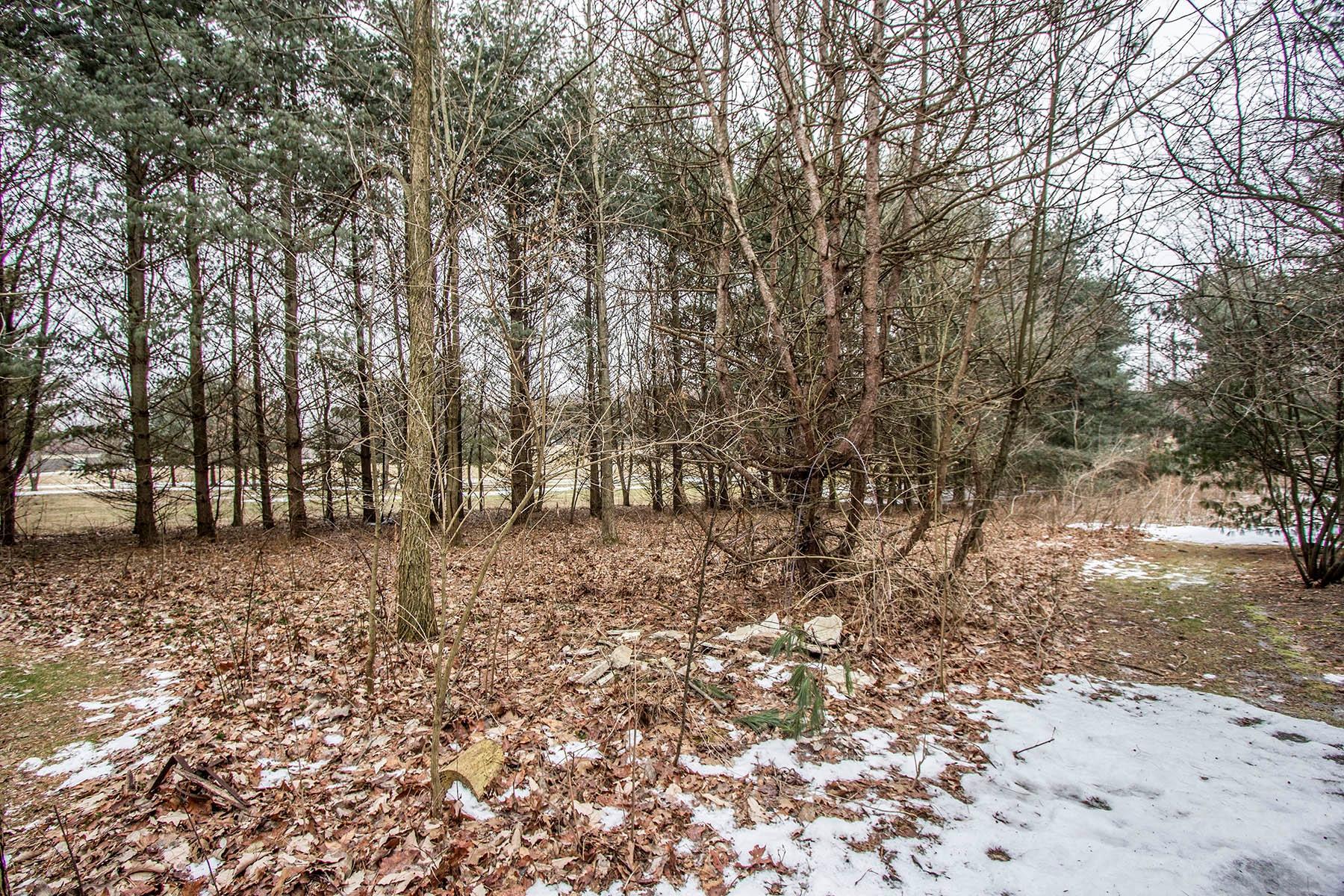 5530 Fredricks Road Sunbury, OH 43074 - Photo 64 of 74 Gallery Image 64