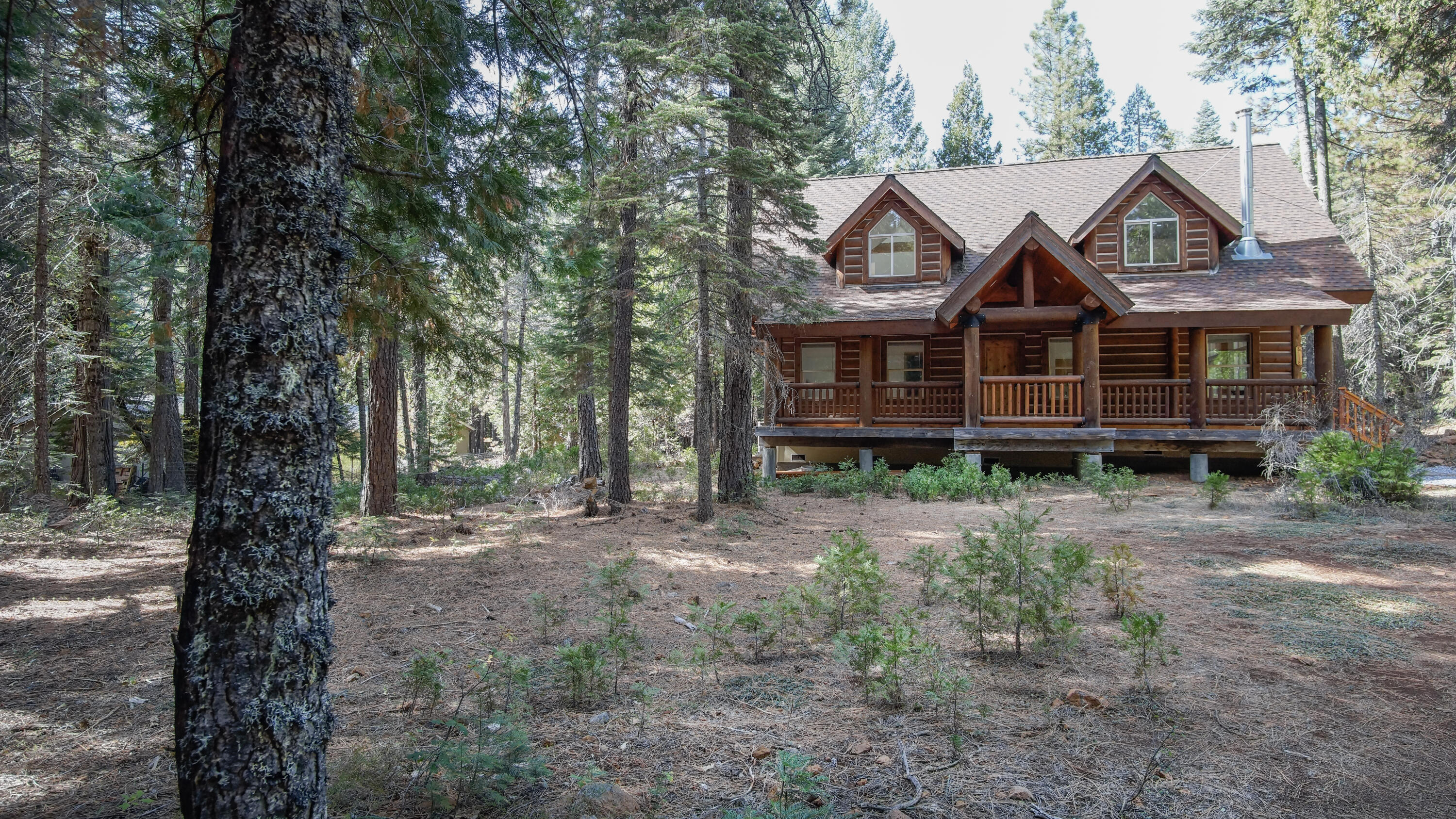 8118 Pine Forest Road Shingletown, CA 96088 - Photo 2 of 38 a view of a house with a yard and large trees