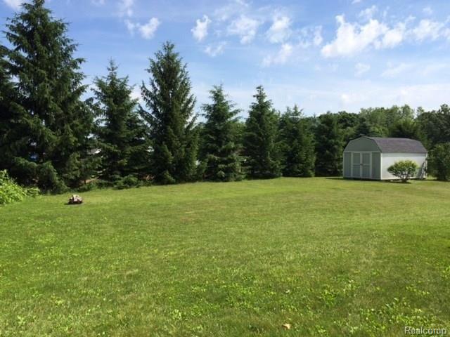 10901 East Lovejoy Road Byron, MI 48418 - Photo 25 of 28 backyard is framed with tall evergreens