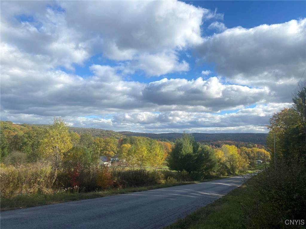6197 Windfall Road Angelica, NY 14813 - Photo 20 of 31