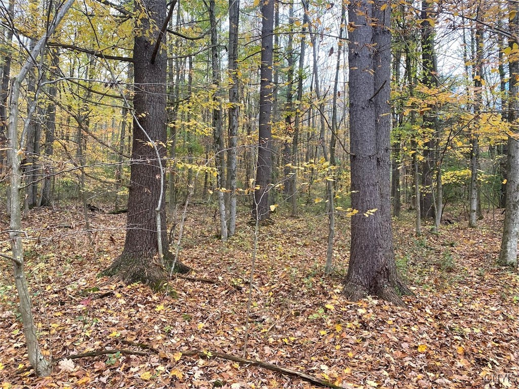 6197 Windfall Road Angelica, NY 14813 - Photo 24 of 31