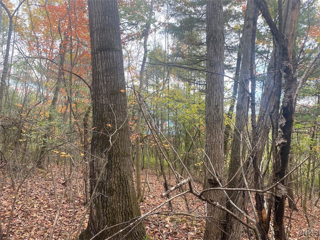 6197 Windfall Road Angelica, NY 14813 - Photo 25 of 31