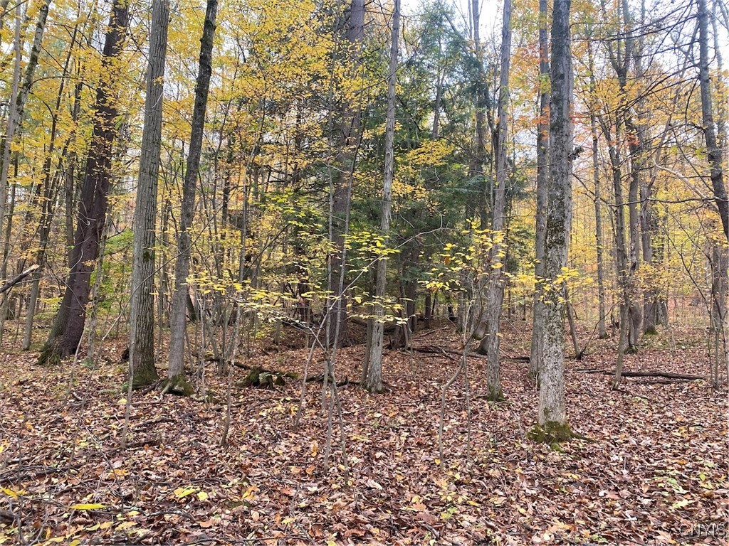 6197 Windfall Road Angelica, NY 14813 - Photo 26 of 31