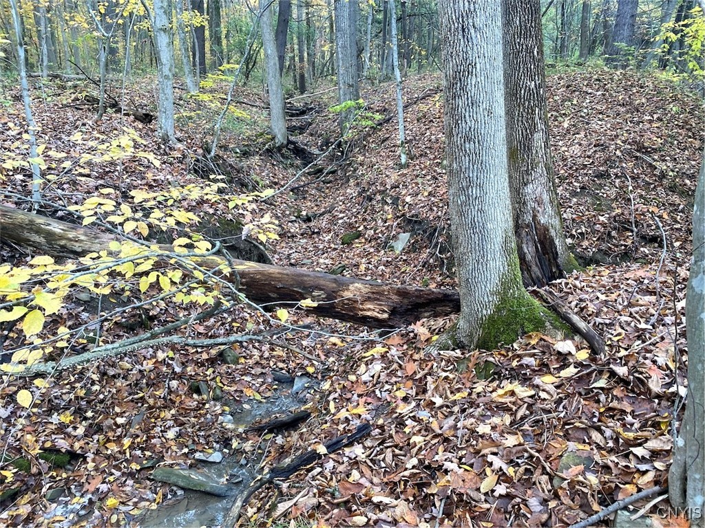 6197 Windfall Road Angelica, NY 14813 - Photo 28 of 31