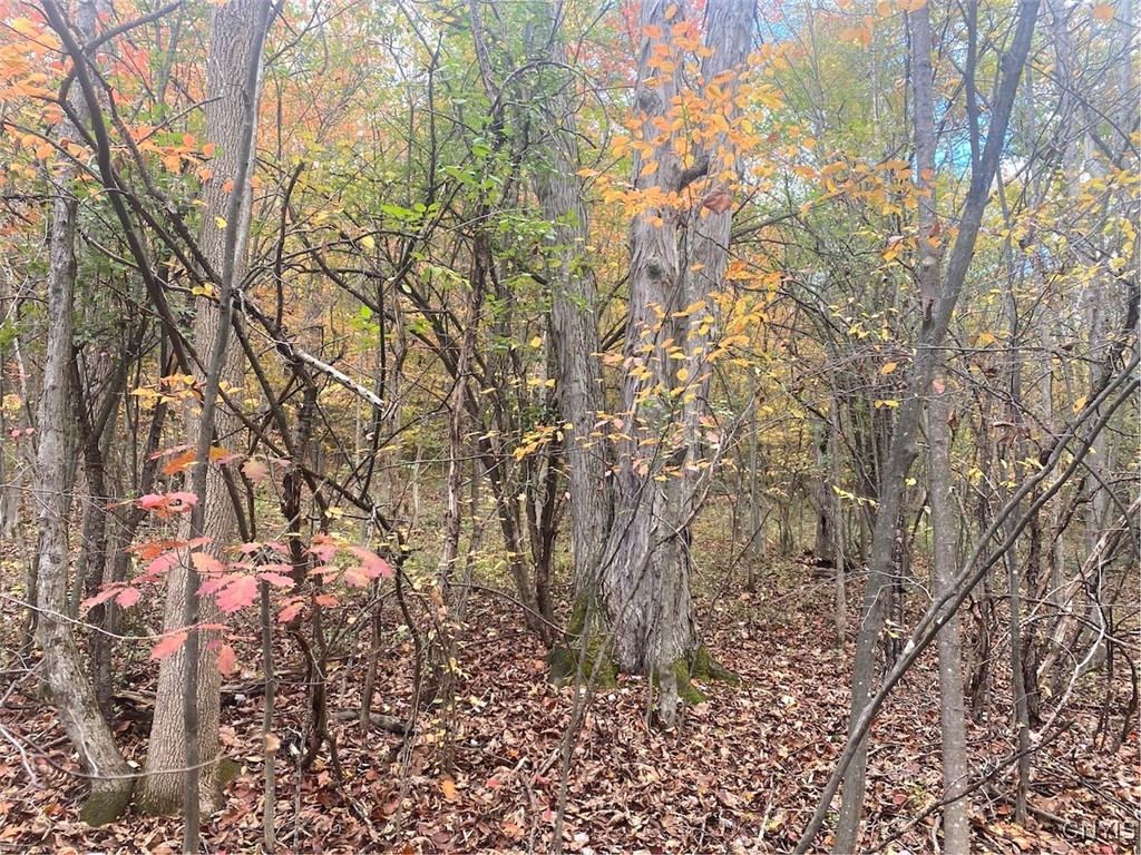 6197 Windfall Road Angelica, NY 14813 - Photo 31 of 31