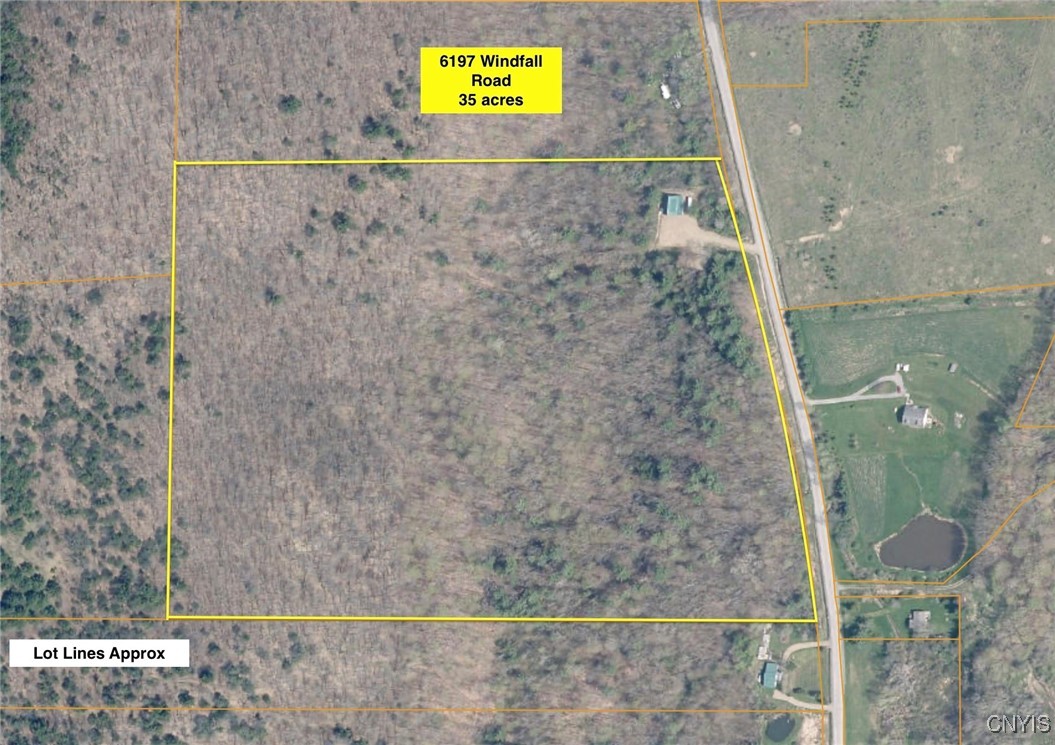 6197 Windfall Road Angelica, NY 14813 - Photo 4 of 31