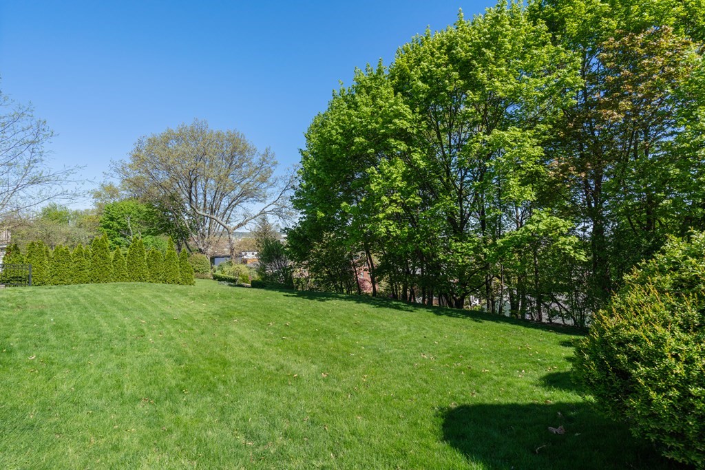 99 Jordan Road Brookline, MA 02446 - Photo 8 of 42 Gallery Image 8