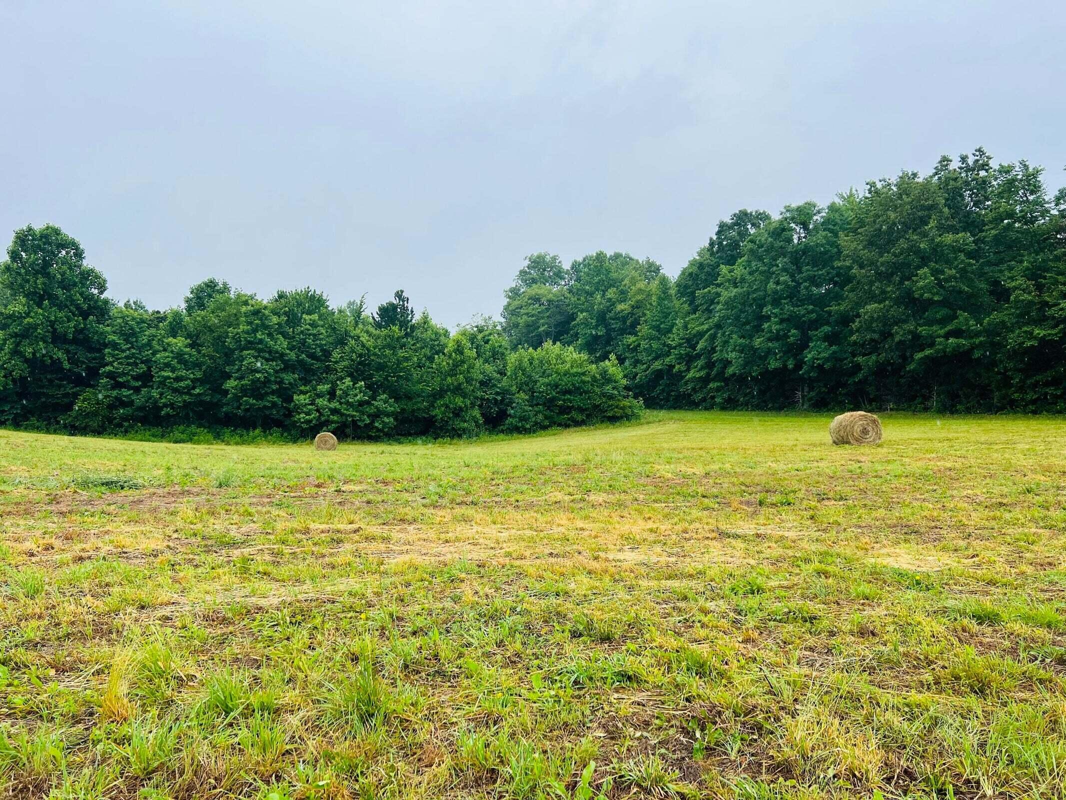 13 Purdy Sano Road Columbia, KY 42728 - Photo 8 of 12 20230619185434662137000000-o