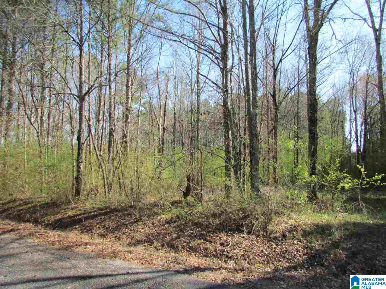 0 Petty Road Odenville, AL 35120 - Photo 2 of 5