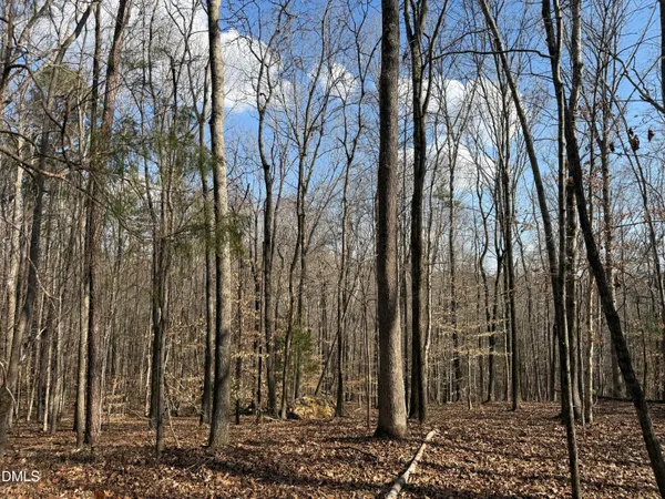 a view of a backyard of the house