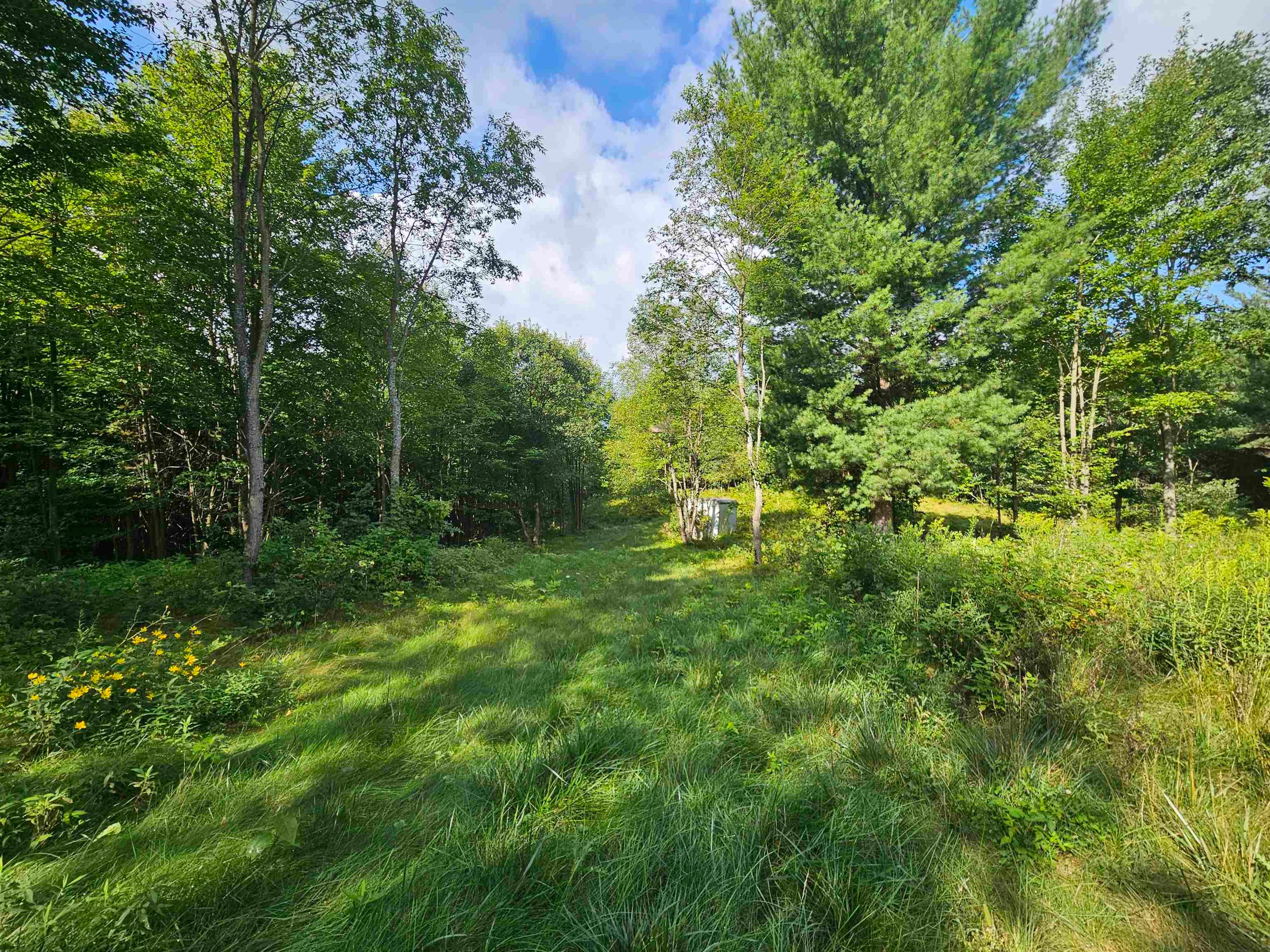 2991 Ridge Road Harrison, MI 48625 - Photo 7 of 23 Gallery Image 7