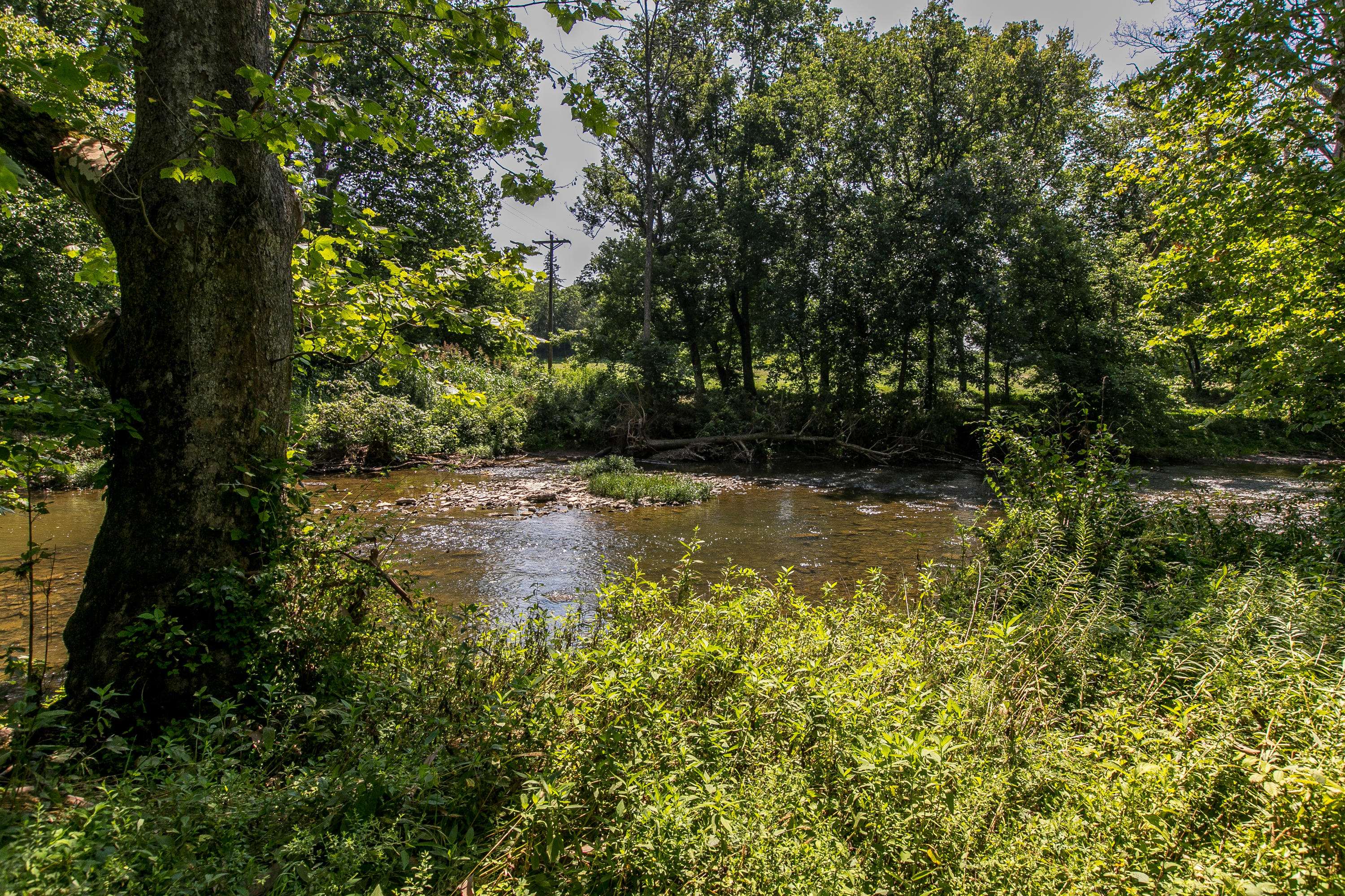 2132 Union Mill Road Nicholasville, KY 40356 - Photo 59 of 73 5-14