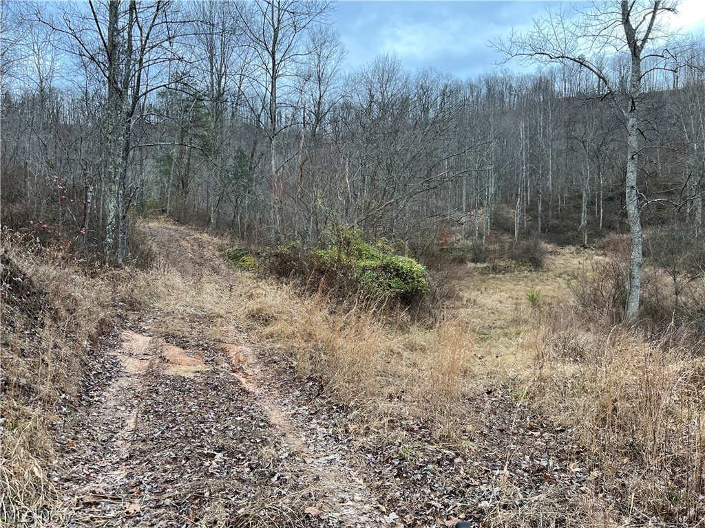 1101 Orchard Run Road Spencer, WV 25276 - Photo 31 of 31 Gallery Image 31