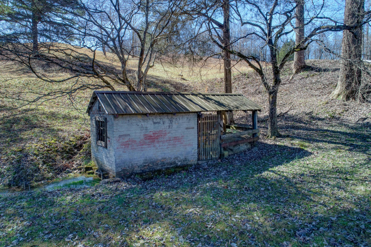 4702 Wilson Road Big Stone Gap, VA 24219 - Photo 17 of 72 749BEC23-1C62-4FCD-B1D4-B3B3AD5AB4C1