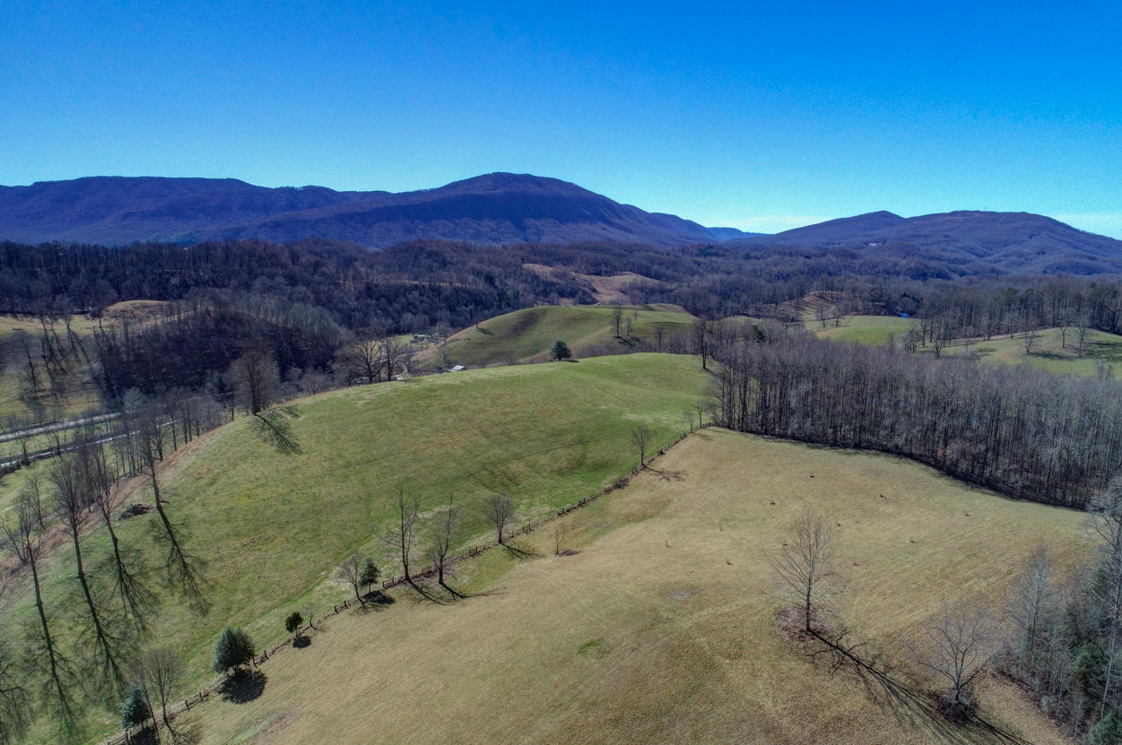 4702 Wilson Road Big Stone Gap, VA 24219 - Photo 6 of 72 F1427B14-97B4-4B64-8F30-7941CCEB87ED
