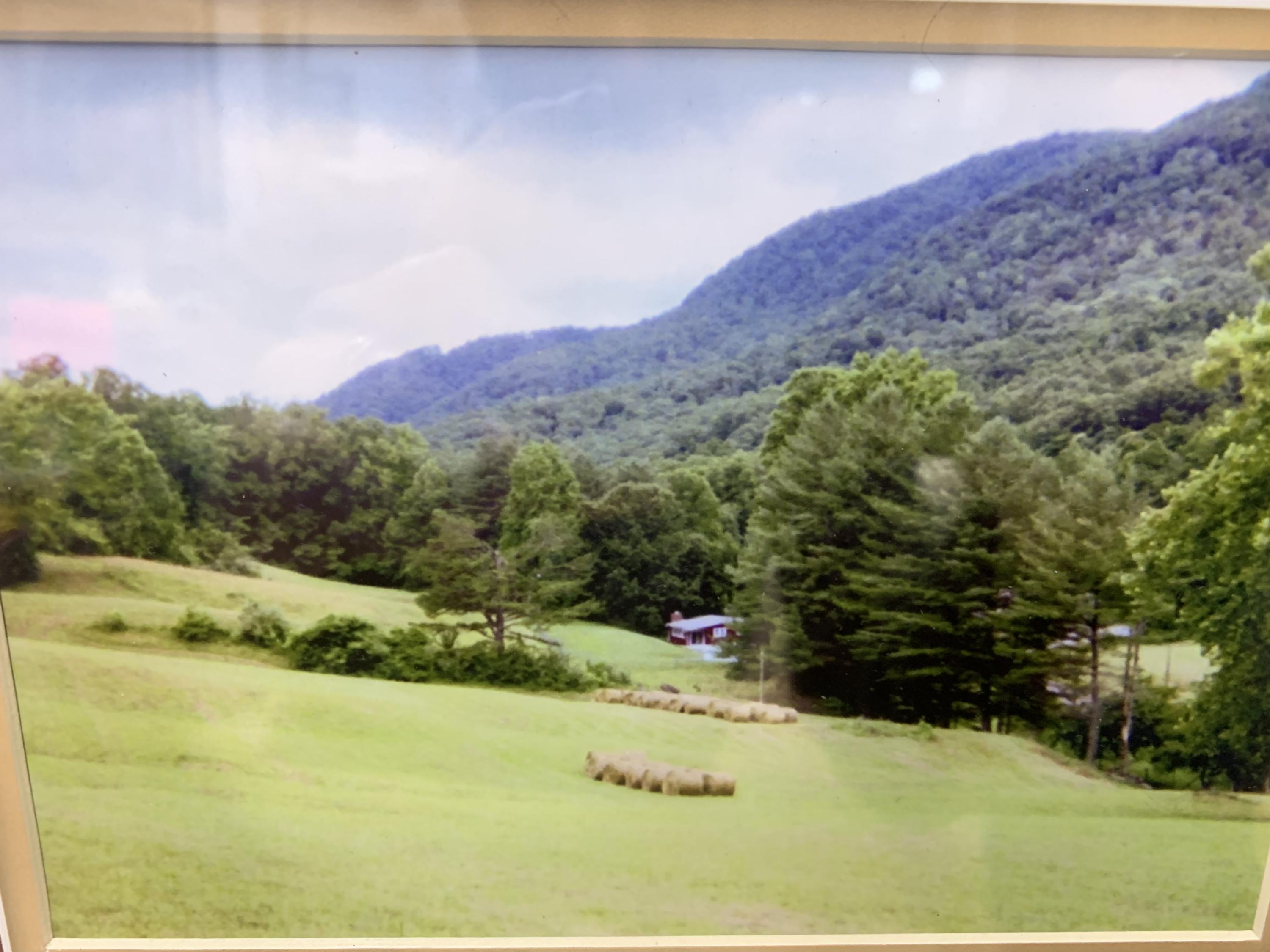 4702 Wilson Road Big Stone Gap, VA 24219 - Photo 65 of 72 A51A6F2C-1E67-46B3-8814-D184ED811E5E