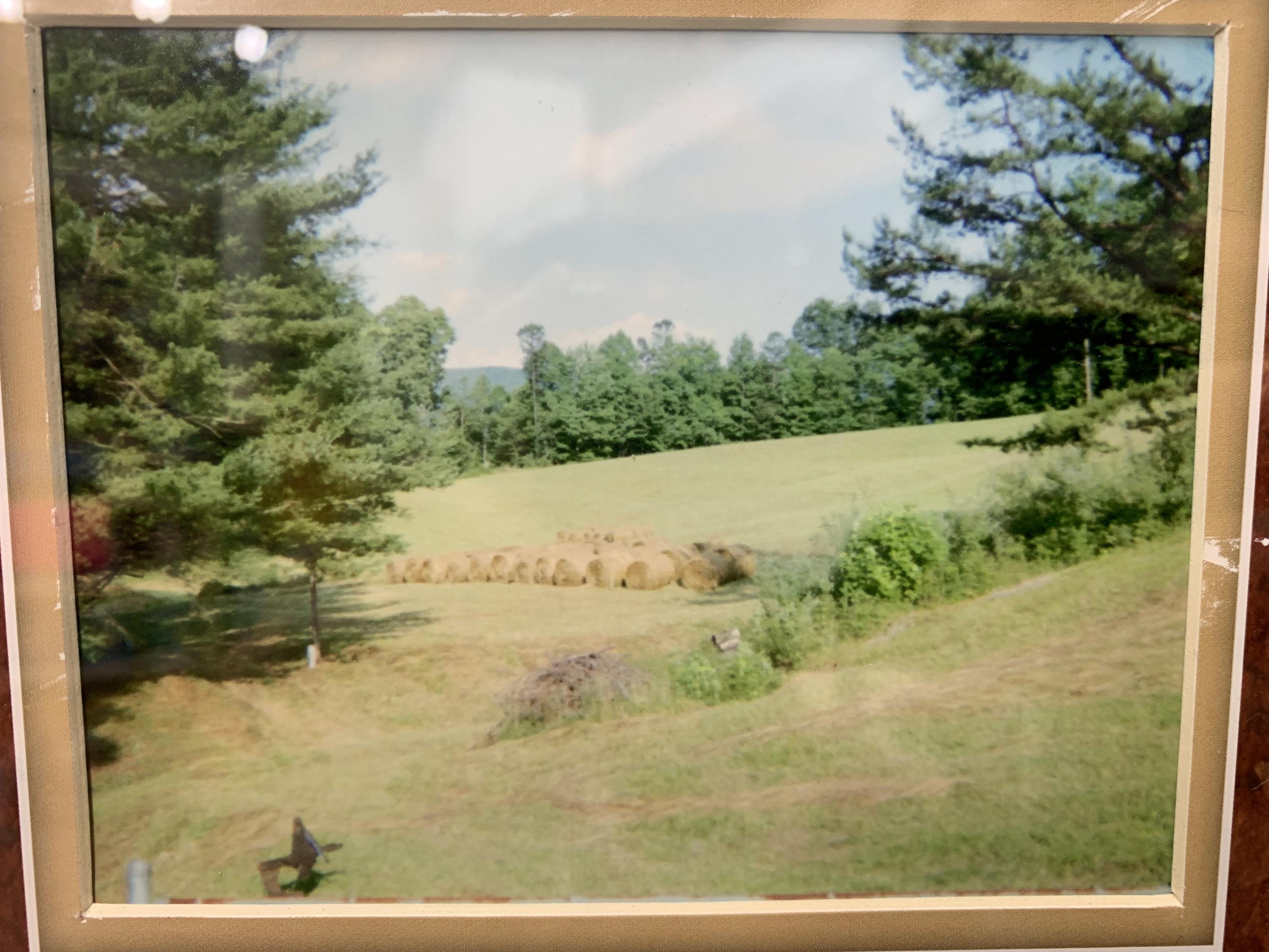 4702 Wilson Road Big Stone Gap, VA 24219 - Photo 66 of 72 CB8ECDAE-9914-41E6-A46A-9CC929F14E66