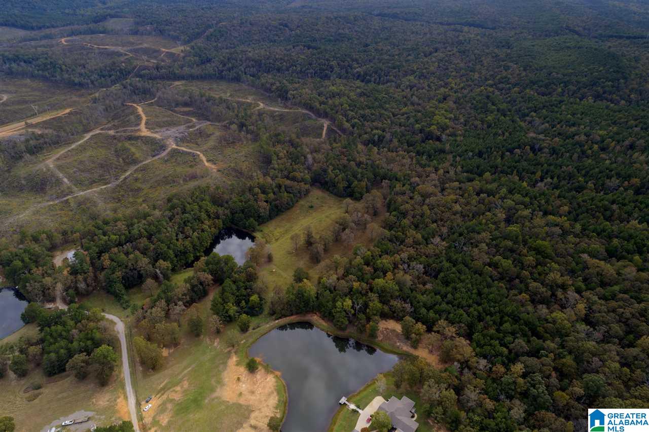 Serene Lake Road, Unit 8471 McCalla, AL 35111 - Photo 11 of 30