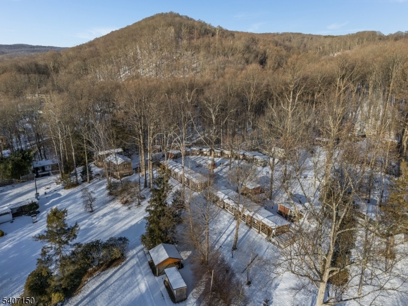 50 Drakestown Road Hackettstown, NJ 07840 - Photo 42 of 47 a view of a tree in a field