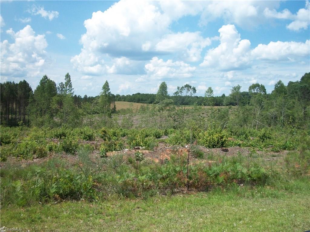 4 Okeewemee Star Road Star, NC 27356 - Photo 1 of 1