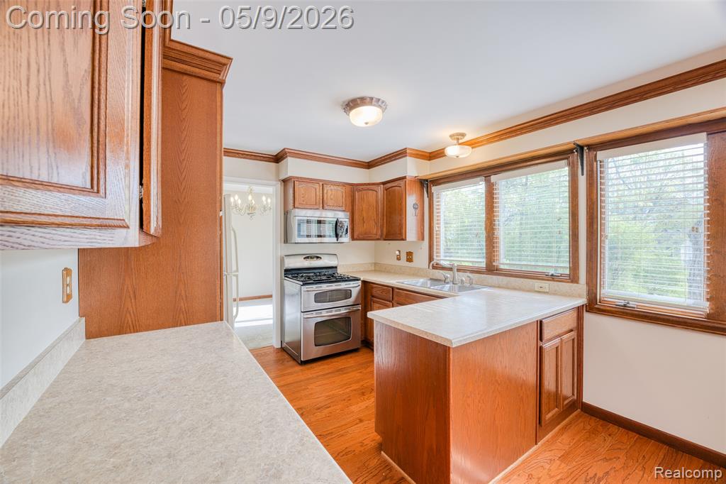 22718 Chestnut Tree Novi, MI 48375 - Photo 3 of 49 Gallery Image 3