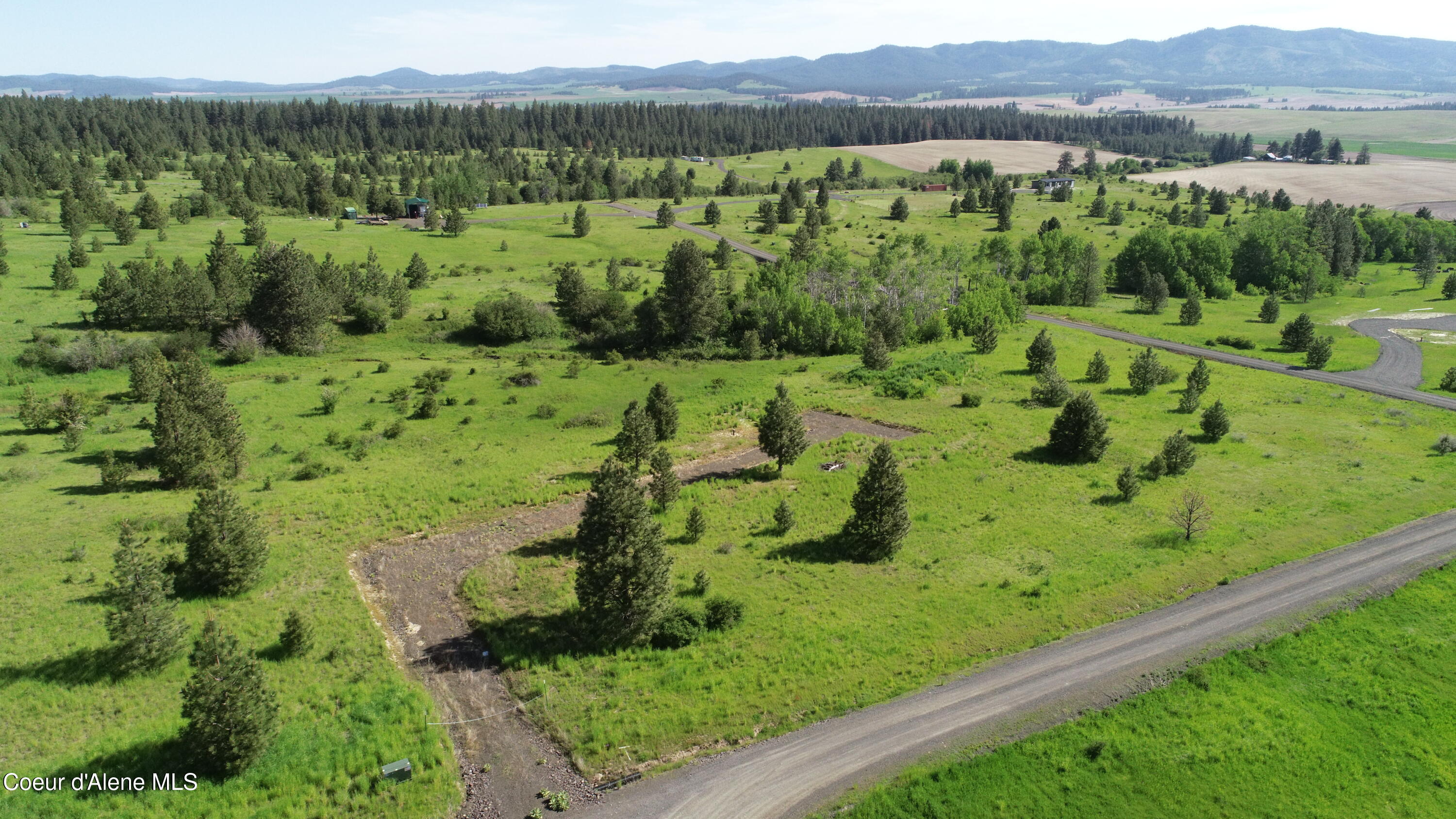 404 Vine Maple Road Desmet, ID 83824 - Photo 2 of 9 DJI_0004