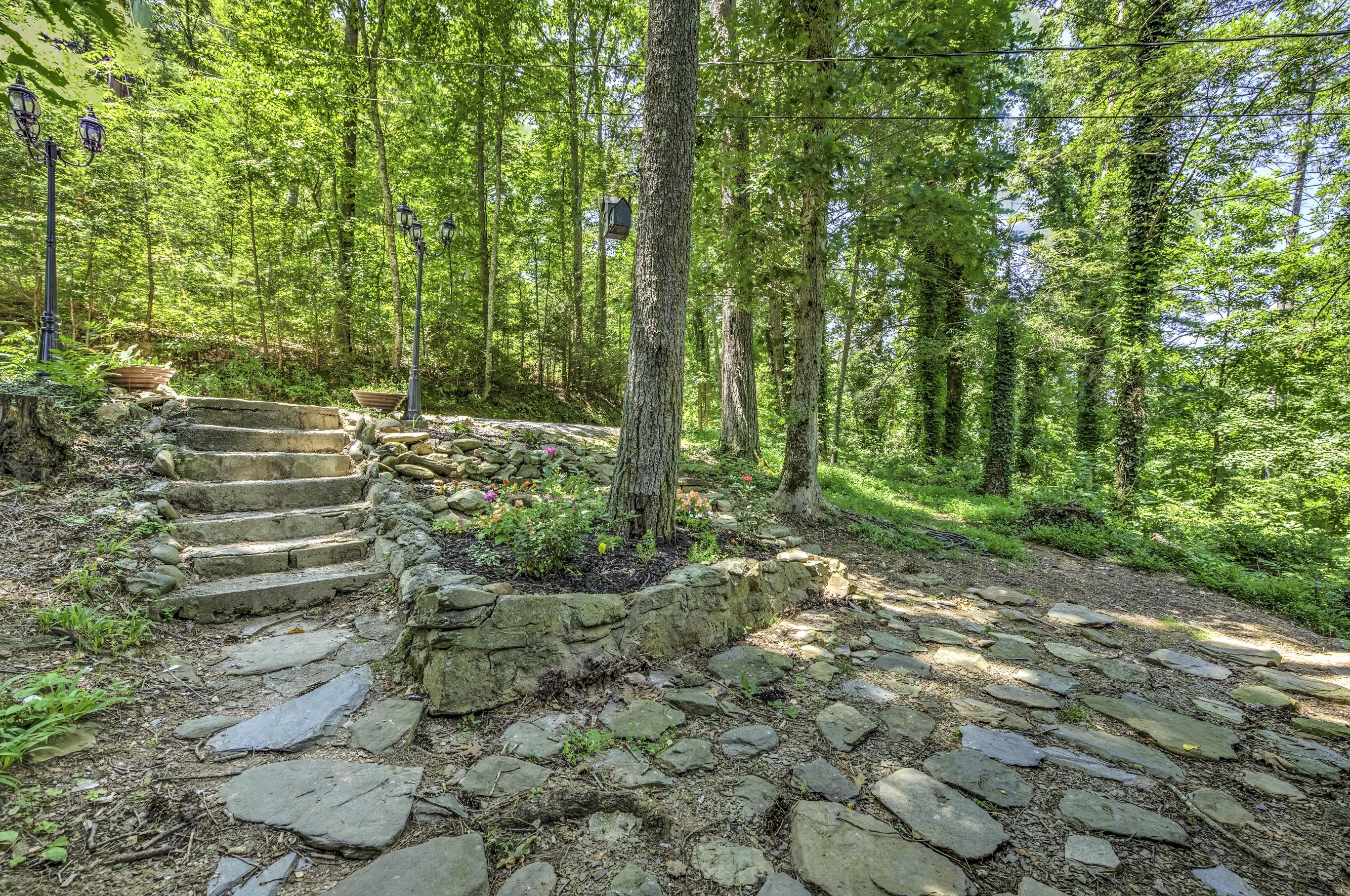 233 Mt Luke Road Townsend, TN 37882 - Photo 3 of 36 B0B2C659-585B-43F9-9BBE-85E74ACECB40