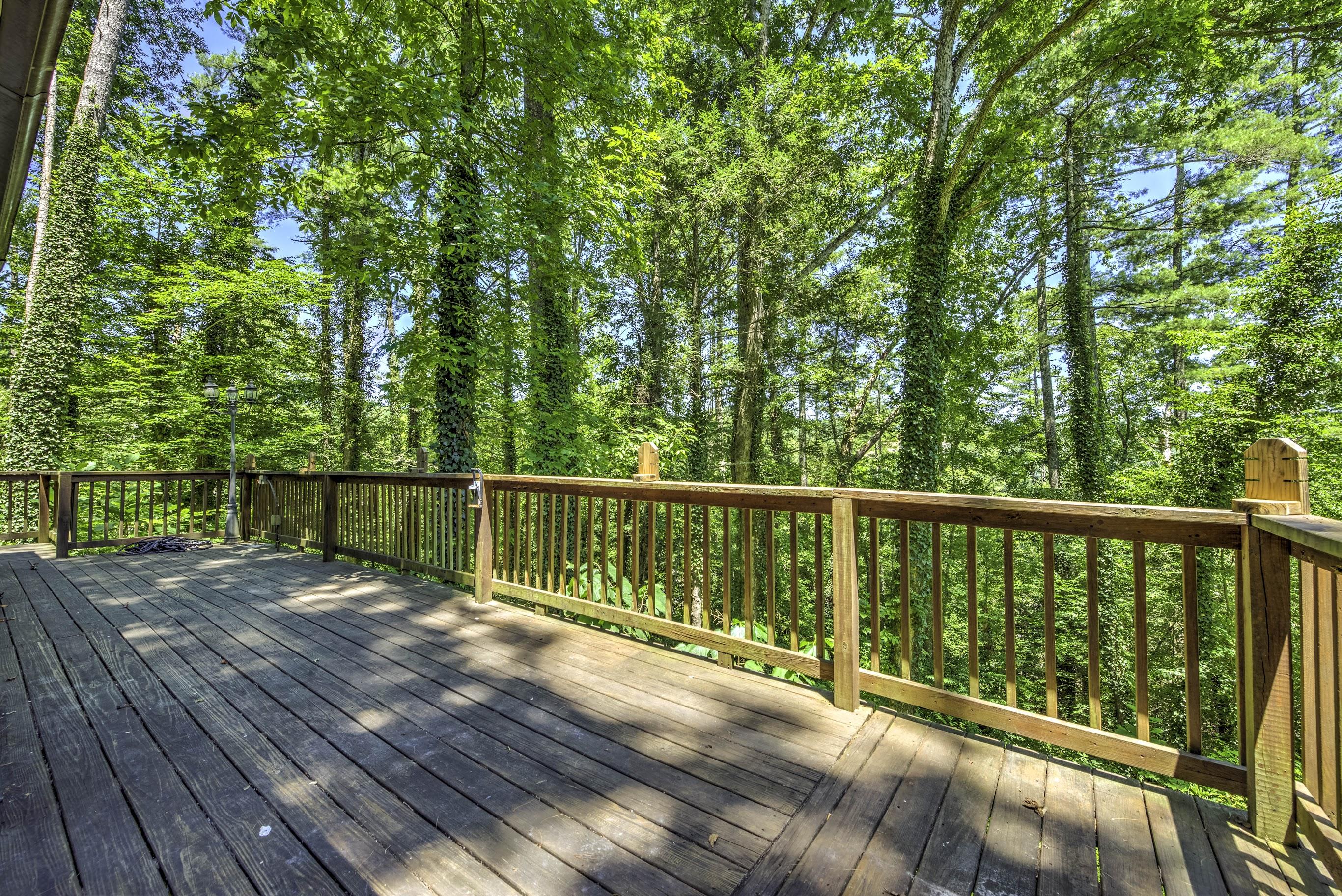 233 Mt Luke Road Townsend, TN 37882 - Photo 7 of 36 56BC0E12-9773-4430-82BC-6214765CE05A