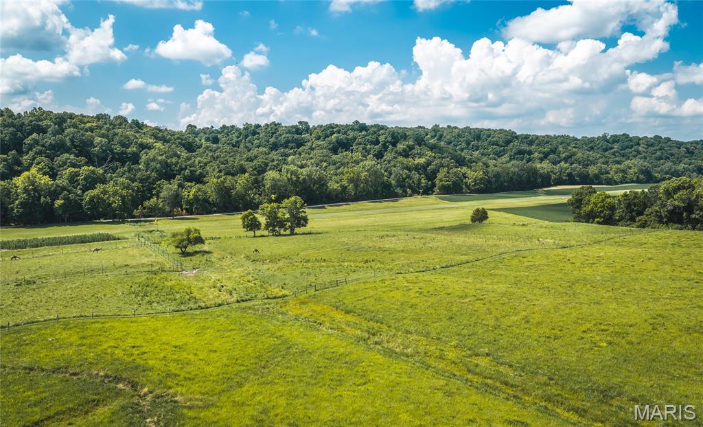 2924 Bess Hollow Road Kampsville, IL 62053 - Photo 79 of 96