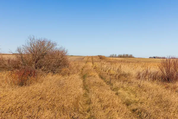 $1 | 9410 53rd Avenue Northeast, Perth, ND 58363