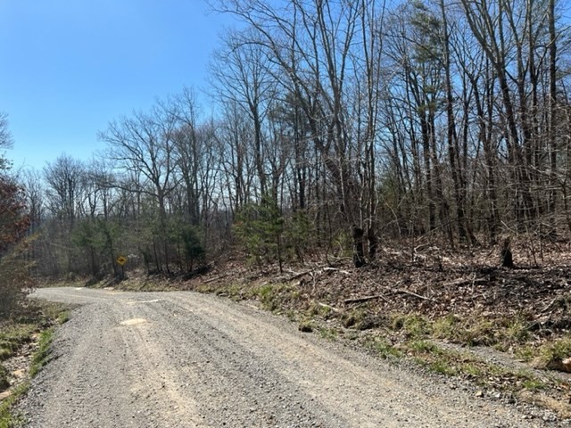 0 Illuminary Firetower Road Spring City, TN 37381 - Photo 3 of 5