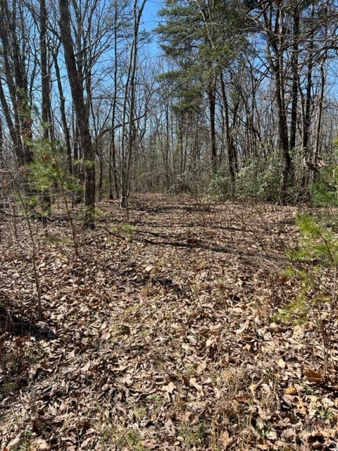 0 Illuminary Firetower Road Spring City, TN 37381 - Photo 4 of 5