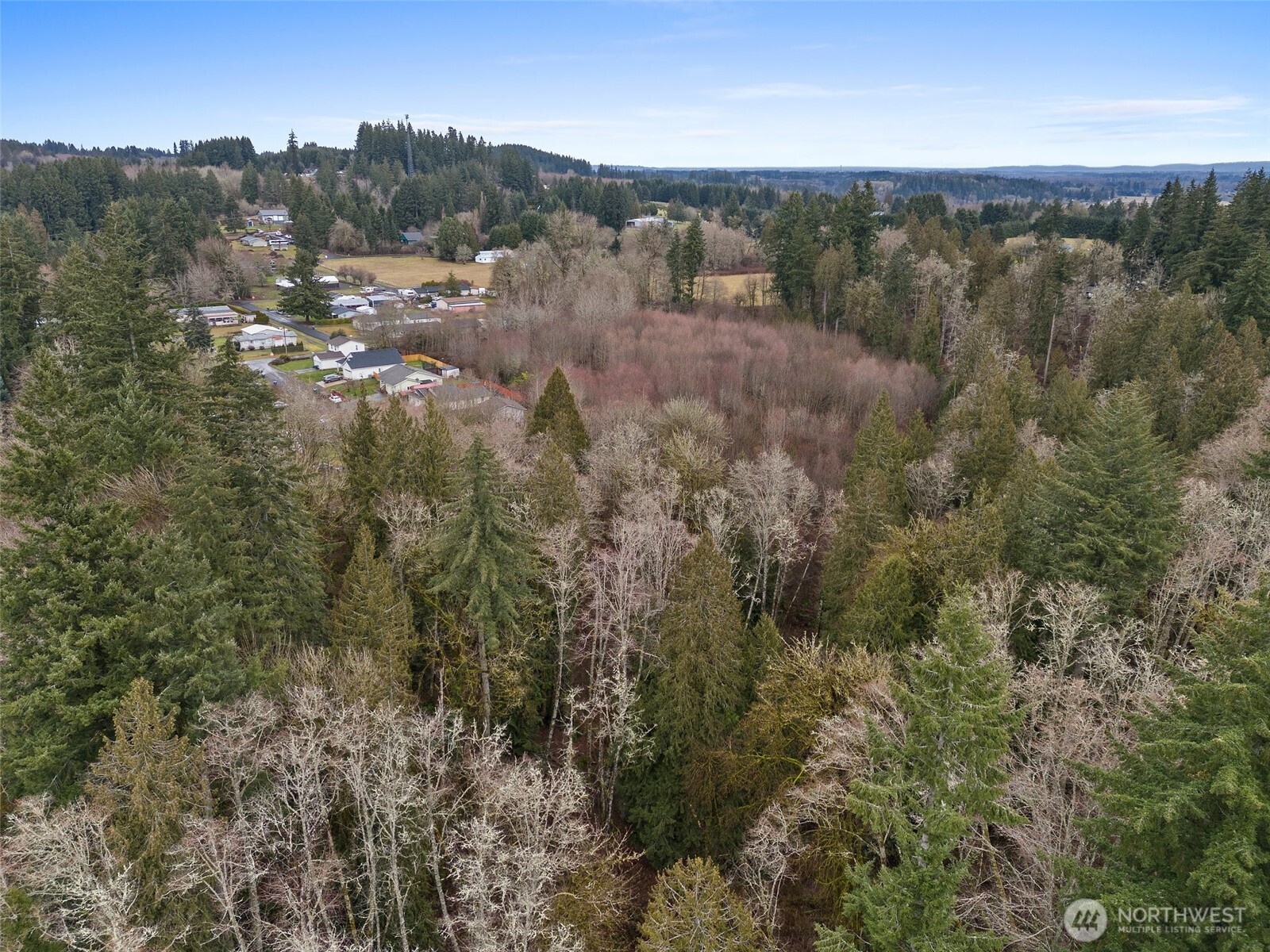 0 Alpine Court Vader, WA 98593 - Photo 11 of 18 Gallery Image 11