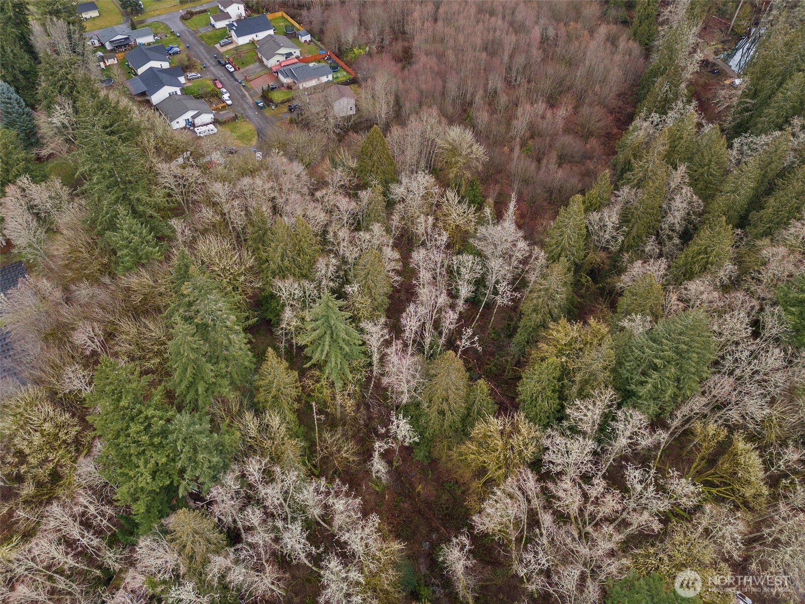 0 Alpine Court Vader, WA 98593 - Photo 12 of 18 Gallery Image 12