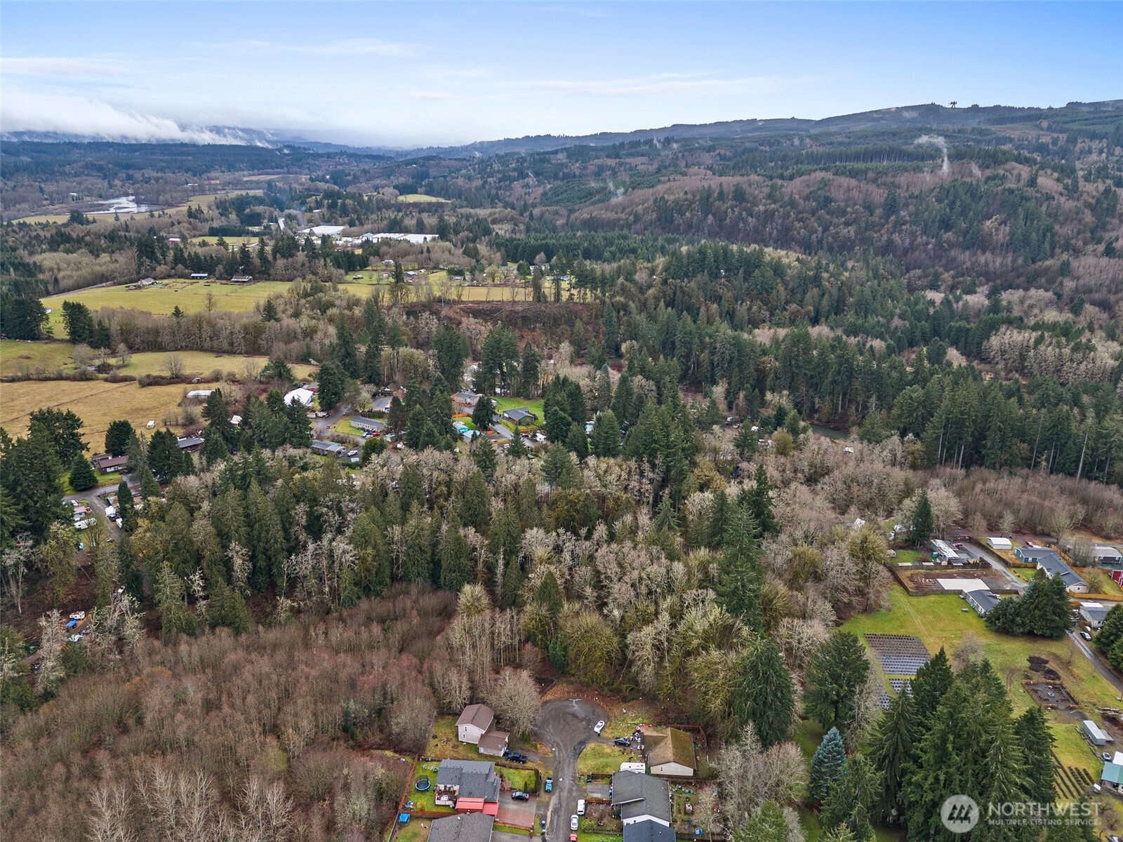 0 Alpine Court Vader, WA 98593 - Photo 14 of 18 Gallery Image 14