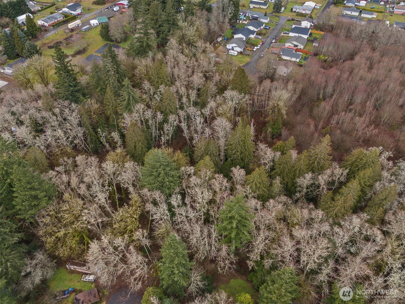 0 Alpine Court Vader, WA 98593 - Photo 15 of 18 Gallery Image 15