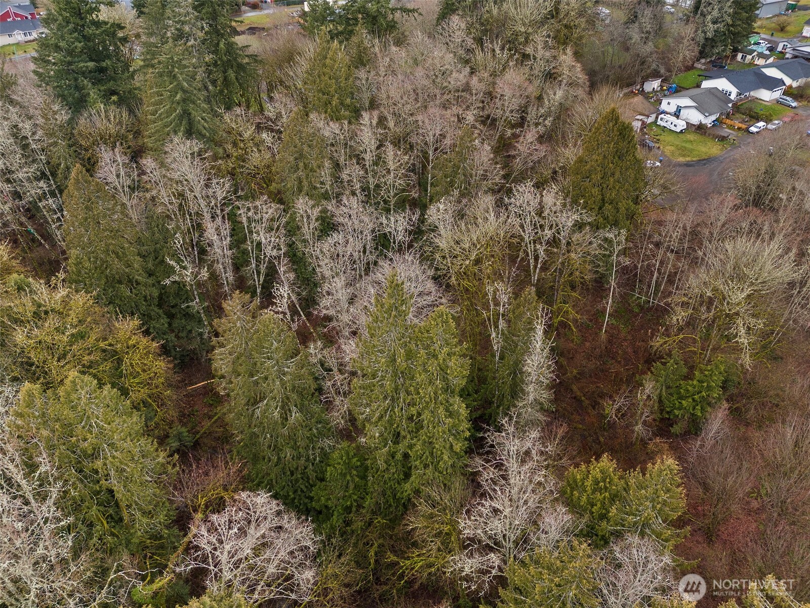 0 Alpine Court Vader, WA 98593 - Photo 2 of 18 Gallery Image 2