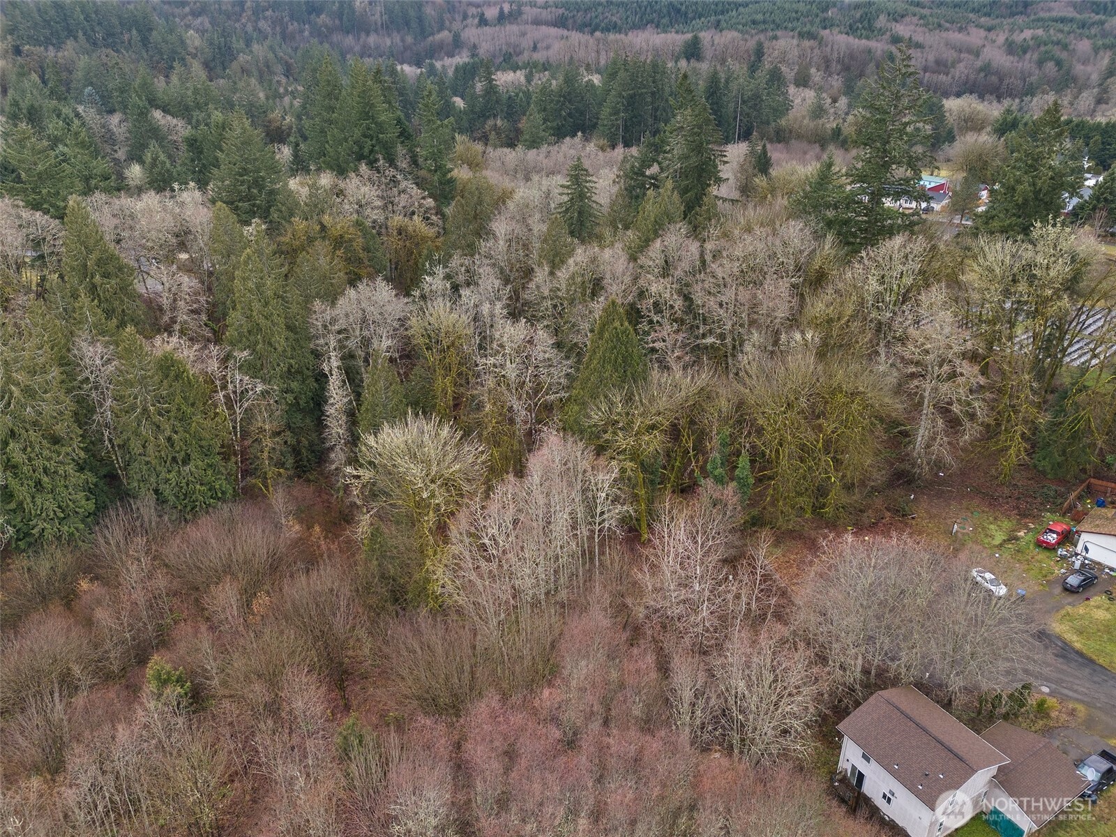 0 Alpine Court Vader, WA 98593 - Photo 3 of 18 Gallery Image 3