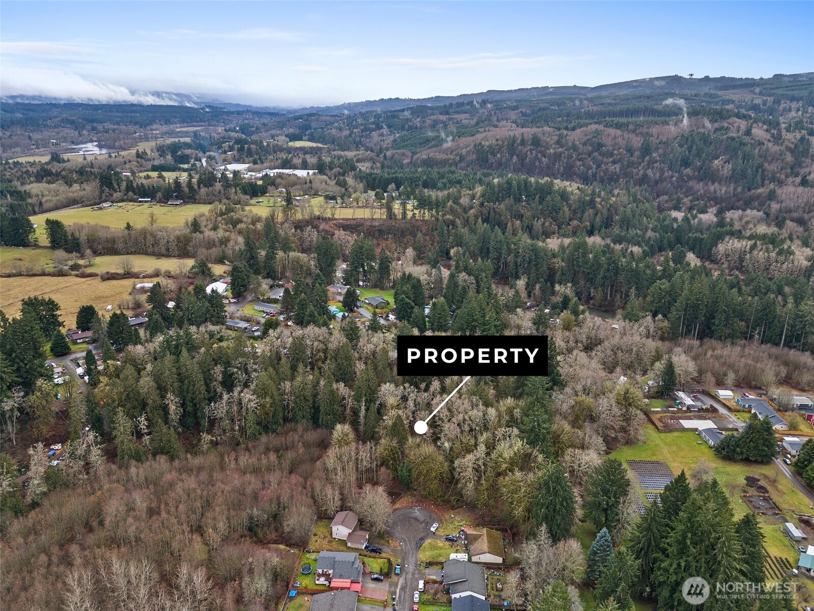 0 Alpine Court Vader, WA 98593 - Photo 4 of 18 Gallery Image 4