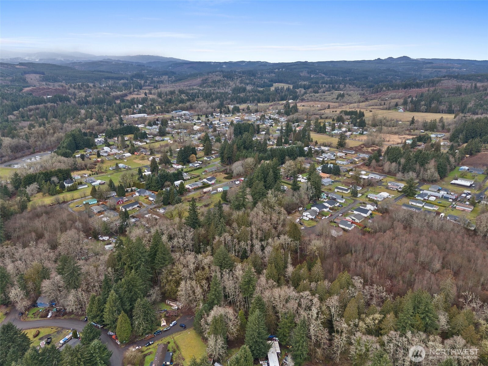 0 Alpine Court Vader, WA 98593 - Photo 5 of 18 Gallery Image 5