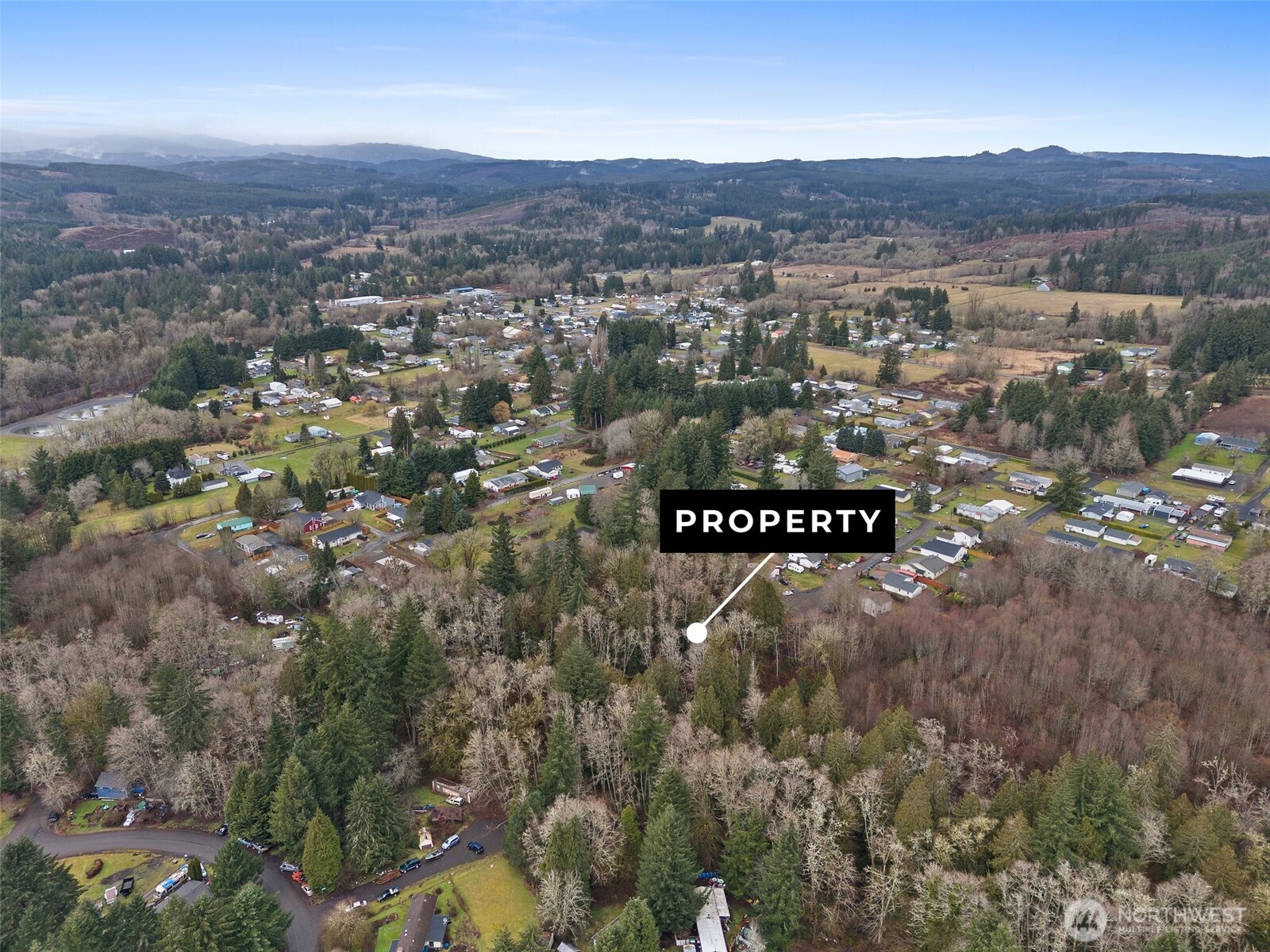 0 Alpine Court Vader, WA 98593 - Photo 9 of 18 Gallery Image 9