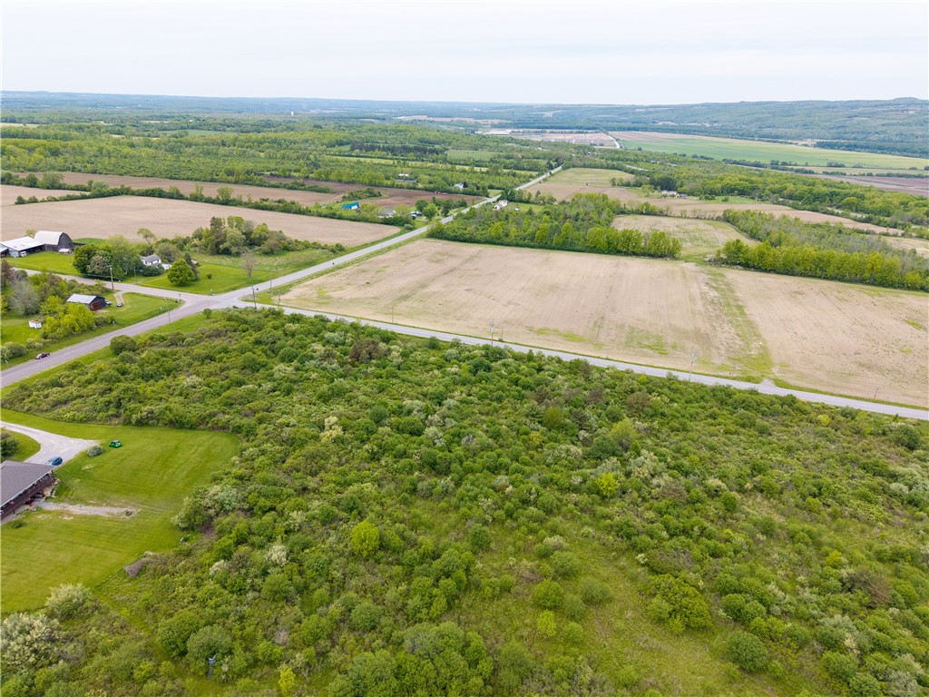 Rock Spring Hill Road Dansville, NY 14437 - Photo 11 of 20