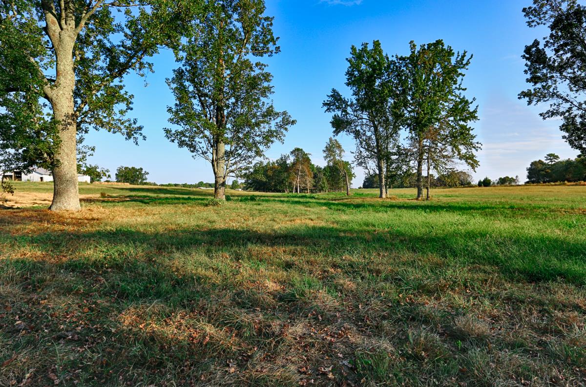 1 Sterling Road Ardmore, AL 35739 - Photo 1 of 4 a view of a golf course with a lake view