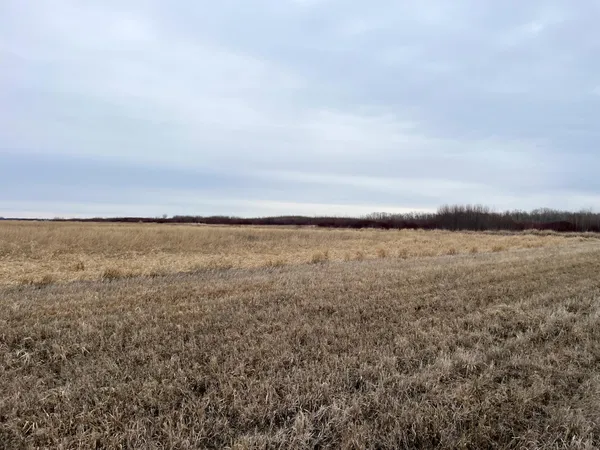 $112,000 | Tbd 170th Street Northwest, Thief River Falls, MN 56701