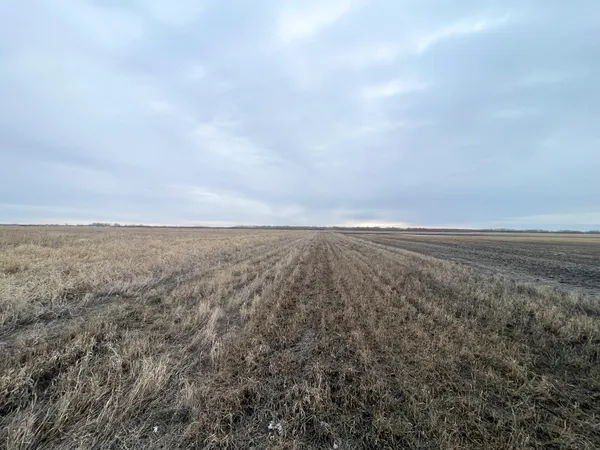 $112,000 | Tbd 170th Street Northwest, Thief River Falls, MN 56701