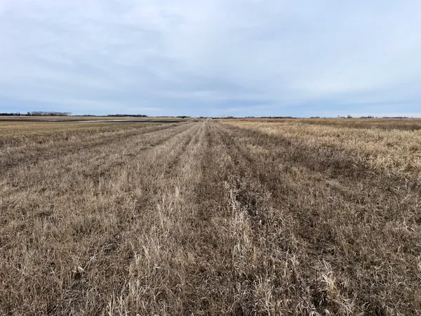 $112,000 | Tbd 170th Street Northwest, Thief River Falls, MN 56701